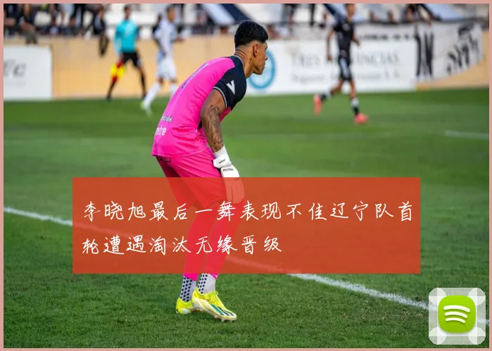 李晓旭最后一舞表现不佳辽宁队首轮遭遇淘汰无缘晋级